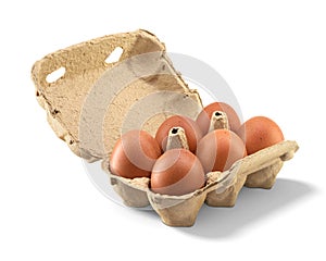 Open carton with six brown chicken eggs isolated on white background
