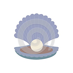 open clam with pearl vector illustration on clean white