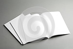 Open and closed blank brochures on grey background.
