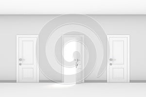 Open and closed doors in hall. 3D illustration