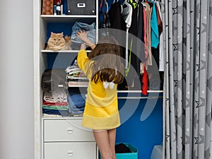 In an open closet, two cats are sitting on shelves with things, a girl puts folded clothes on a shelf with a cat