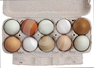 Open compostable egg tray of ten fresh organic eggs in different color shades