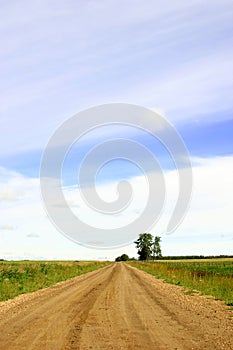 Open Country Road