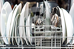 Open dishwasher with clean white plates