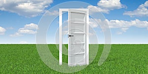 Open door concept - 3D illustration