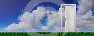 Open door on green grass, blue sky background, banner. 3d illustration