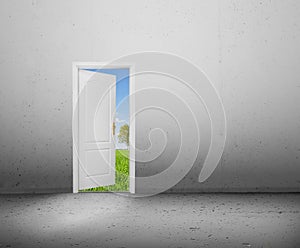 Open door to a new world, the green summer landscape. Conceptual
