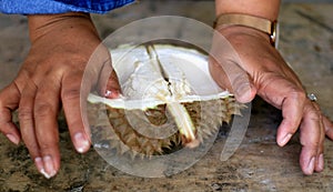 Open Durian Fruit