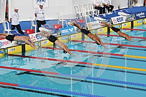Open EDF 2010 de Natation, Paris