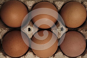 Open egg box with six brown eggs. Fresh organic chicken eggs in carton pack or egg container top view