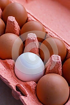 Open egg box with ten brown eggs close up view. Fresh organic chicken eggs in carton pack or egg container