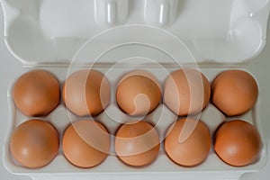 An open egg carton with ten brown eggs, on a white background. Top view of egg container, fresh organic chicken eggs