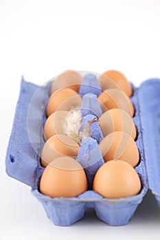 Open egg carton