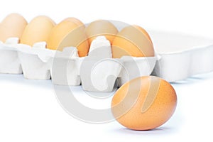 Open eggbox