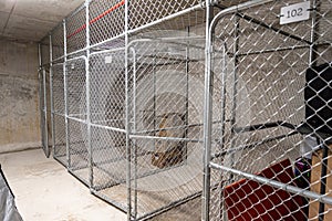 Open and empty apartment storage cage photo