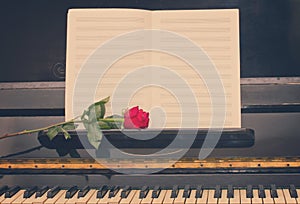 Open empty notes paper with red rose