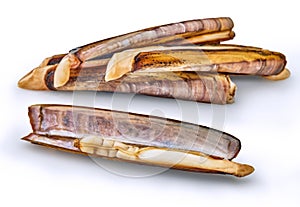 Open en closed clams with shellfish isolated on white background