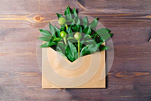 open envelope of craft paper with buds and leaves of peonies in it. minimal concept, falt