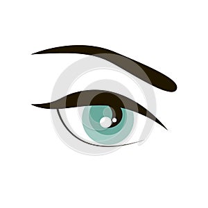 Open eye with eyebrow simple sign icon