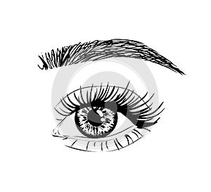 Open eye with long eyelash. illustration for beauty salon eyelash extension. Laser vision correction Lasik