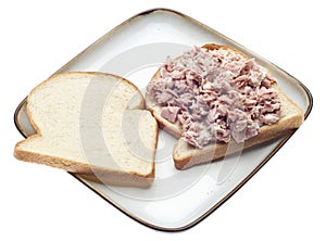 Open Face Tuna Salad Sandwich