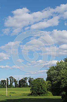 An open field with a view of the sky and some shrubbery on a summer afternoon.