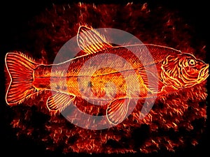 open fire BBQ cooking whole fish