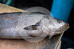 Open fish market