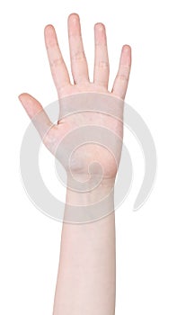 Open five fingers hand gesture