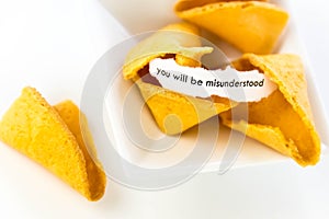 Open fortune cookie - YOU WILL BE MISUNDERSTOOD