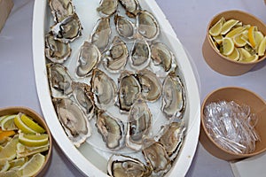 Open fresh oysters in French restaurant in Arcachon basin