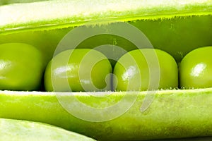 Open Fresh Pea Pod, Macro