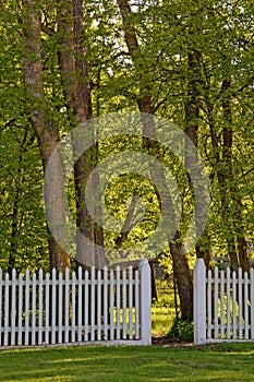 Open gate leading to forest