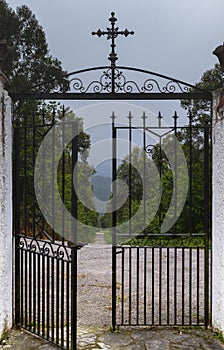 Open gate leading to path in forest