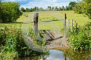 Open gate to a field at a nature reserve during a warm summer day