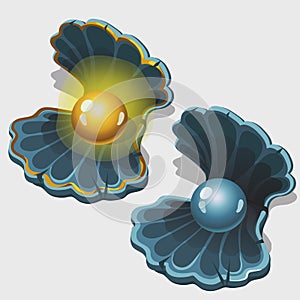 Open gold and silver shell box with pearl