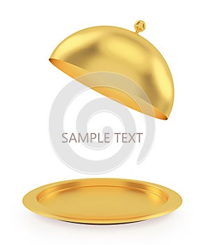 Open gold tray on a white background