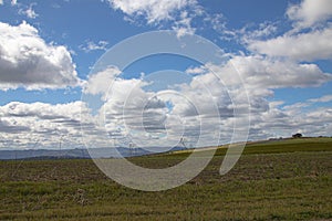 Open Grass Field with Cloudy Blue Sky