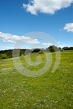 Open grasslands where The Cotswold Way long distance footpath passes Standish Wood viewpoint.