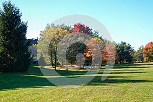 An open grassy field with white benches and trees with colored autumn leaves near a housing development