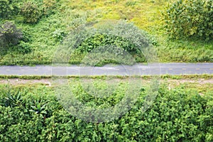 Open green field and road