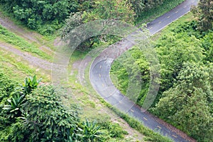 Open green field and road