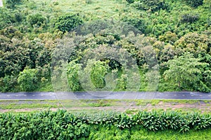 Open green field and road