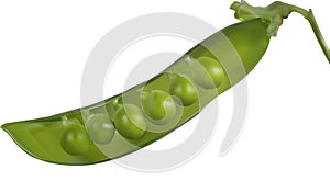 Open green pea pod illustration