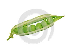 Open green pea pod with peas close-up isolated