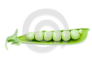 Open green peas pod