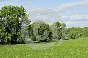 Only open green, yellow field forest and clouds on blue sky in summer, sunny day. Good weather. Away far hills, trees. Mysterious