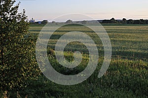 Only open green, yellow field forest and clouds on blue sky in summer, sunny day. Good weather. Away far hills, trees. Mysterious