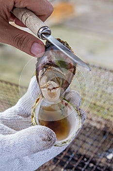 Open grilled Oyster with knife