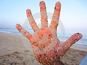 open hand with sand on the beach photo